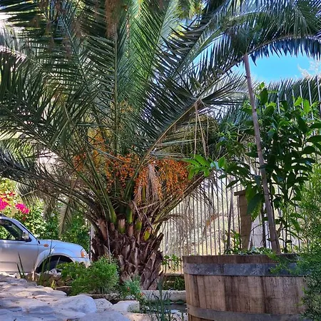 아파트 ιlias 파트라