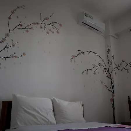 Apartment ιlias
